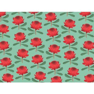 Placemats - Teal Waratah by Cat MacInnes