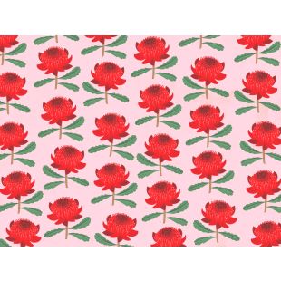 Placemats - Pink Waratah by Cat MacInnes