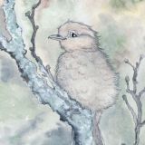 Card - Dusky Robin by Aleta