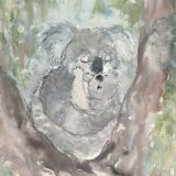 Card - Cuddling Koalas by Aleta