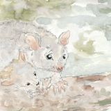 Card - Brushtail Possums by Aleta