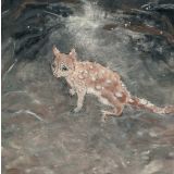 Card - Exploring Spotted-Tail Quoll by Aleta