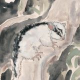 Card - Exploring Sugar Glider by Aleta