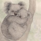 Card - Koala Cuddles by Aleta