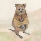 Card - Mother & Baby Wallaby by Aleta