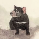 Card - Tasmanian Devil by Aleta