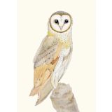 Card - Masked Owl by Aleta