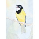Card - Golden Whistler by Aleta