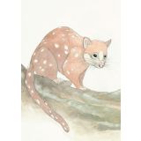 Card - Spotted-Tail Quoll by Aleta