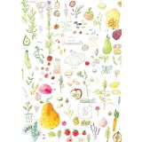 Card - Anna Pignataro - 125mm x 175mm