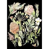 Card - Anna Pignataro - 125mm x 175mm