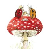 Card - Anna Pignataro - 100mm x 100mm