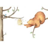 Card - Annie White - 175mm x 175mm