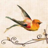 Card - Bella Vintage - 140mm x140mm