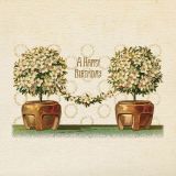 Card - Bella Vintage - 140mm x140mm