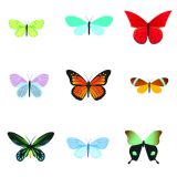 Card - Cat Macinnes - 140mm x 140mm