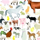 Card - Cat Macinnes - 140mm x 140mm