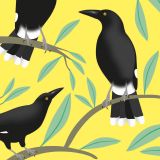 Card - Cat Macinnes - 140mm x 140mm