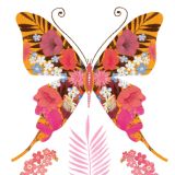 Card - Deb Hudson - 140mm x 140mm