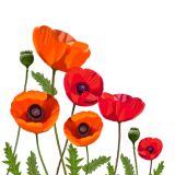 Card - Deb Hudson - 140mm x 140mm