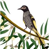 Card - Deb Hudson - 140mm x 140mm