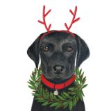 Card - Deb Hudson - 100mm x 100mm