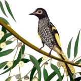 Card - Deb Hudson - 100mm x 100mm