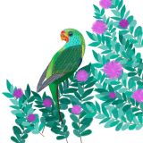 Card - Deb Hudson - 100mm x 100mm