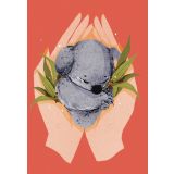Card - Koala by Eureka