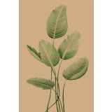 Card - Six Leaves by Studio Nuovo