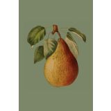 Card - Pear by Studio Nuovo