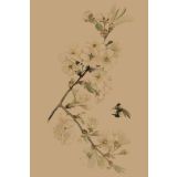 Card - Hogvine by Studio Nuovo