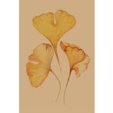 Card - Ginkgo Leaves by Studio Nuovo