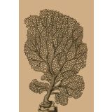 Card - Grey Tree by Studio Nuovo