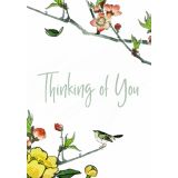 Card - Jumbo - 219mm x 305mm