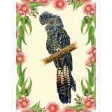 Card - Cockatoo by Katherine Appleby