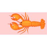 Table Tag - Cat Macinnes - 48 mm x 100 mm