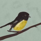 Card - Melanie Armstrong - 140mm x 140mm