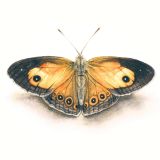 Card - Matteo - 140mm x 140mm