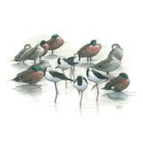 Card - Matteo - 125mm x 175mm