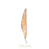 Gift Tags - Matteo Grilli - 48mm x 100mm (18 Assorted)