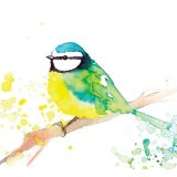 Card - Marta Casals Juanola - 140mm x 140mm