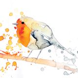 Card - Marta Casals Juanola - 140mm x 140mm