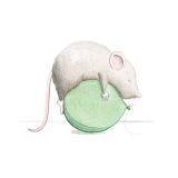 Card - Sara Rhys - 100mm x 100mm