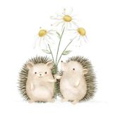 Card - Echidna's Holding Daisies by Sannadorable