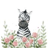 Card - Zebra by Sannadorable