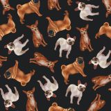 Card - Stephanie Chambers - 140mm x 140mm