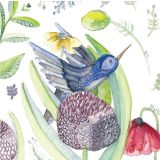 Card - Shaney Hyde - 100mm x 100mm