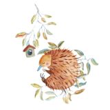 Card - Shaney Hyde - 100mm x 100mm