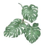 Card - Small Square Cards - 100mm x 100mm